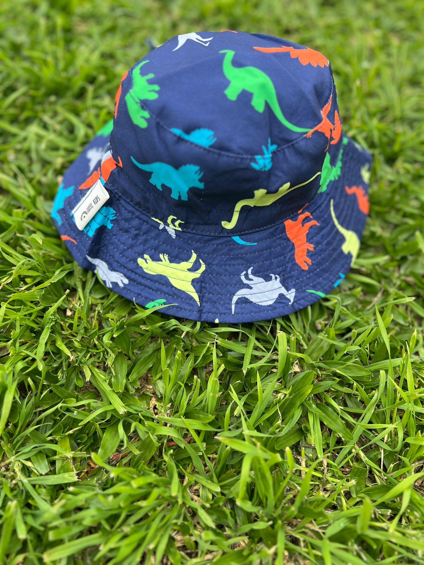 Gorro Dino